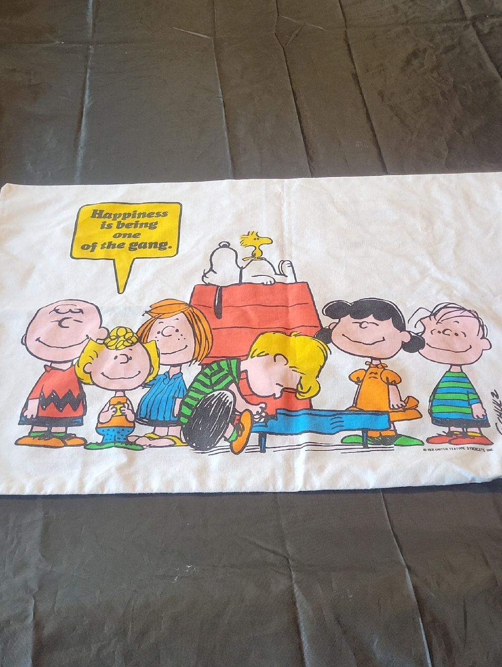 Peanuts Gang Graphic Pillowcase with Snoopy & Friends - White